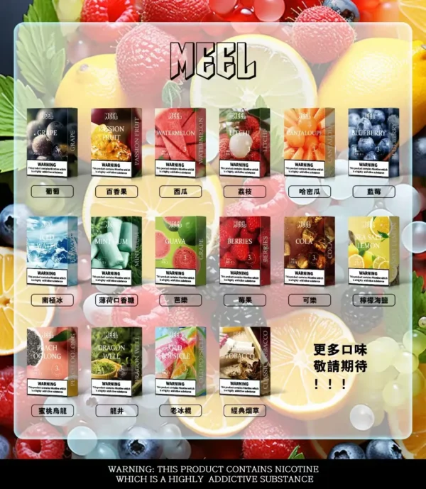 MEEL 進化版一代煙彈｜下班舒壓閒暇片刻｜展現精緻細膩的煙霧表現