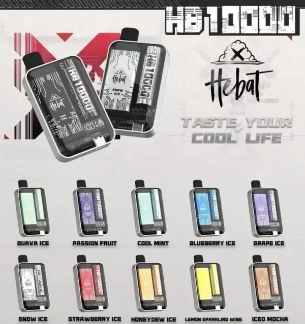 喜貝 Hebat 10000 口｜辦公桌面品味選擇｜感受純淨氣流感與鮮活果香氣韻